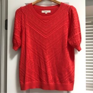 LOFT Pointelle Short Sleeve Sweater